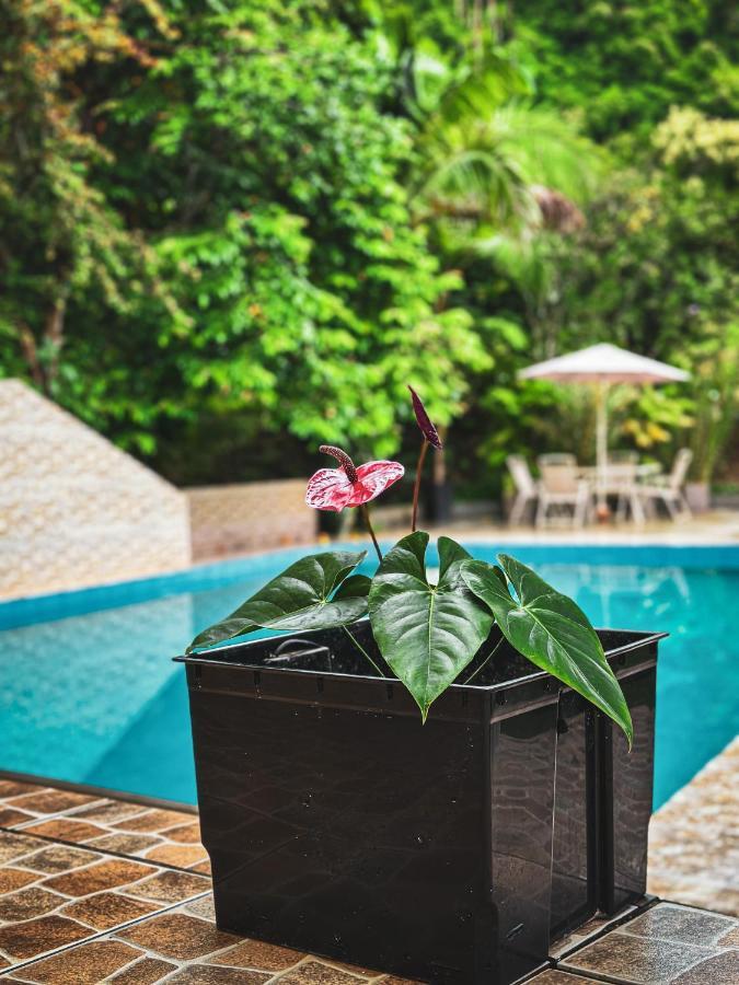 Albergue Turistico Gstir Pozuzo Ngoại thất bức ảnh